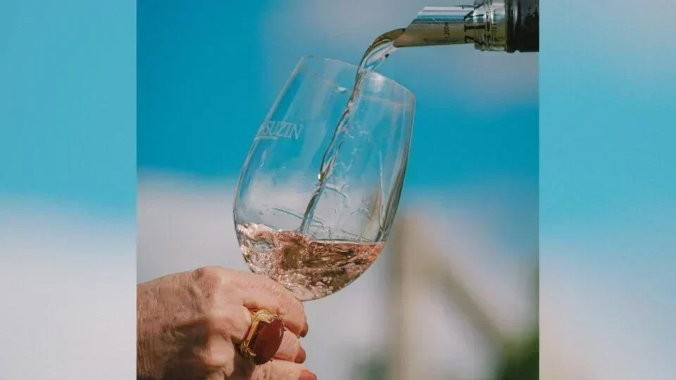 Vinhos de Altitude: Oportunidade de Investimento na Serra Catarinense