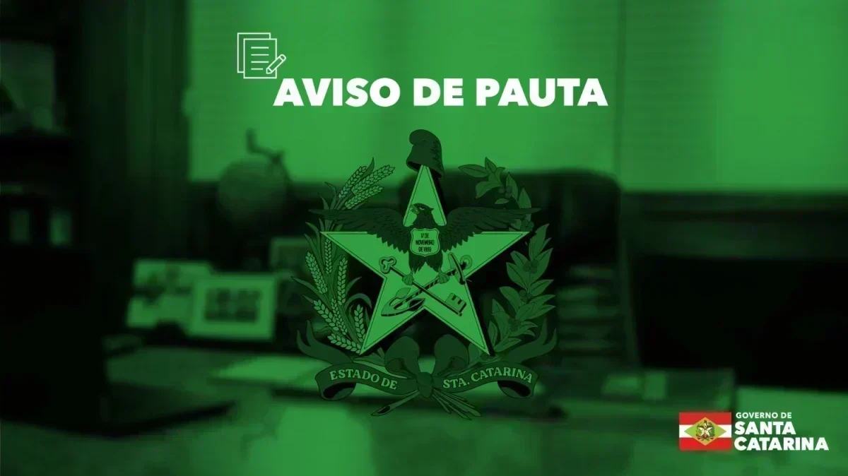 Avenida Arlindo Phillipi May: Um Marco para Palhoça e Seus Investidores