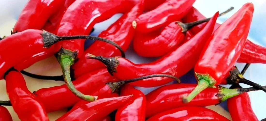 Brasil Expande Fronteiras: Oportunidades no Peru e Filipinas