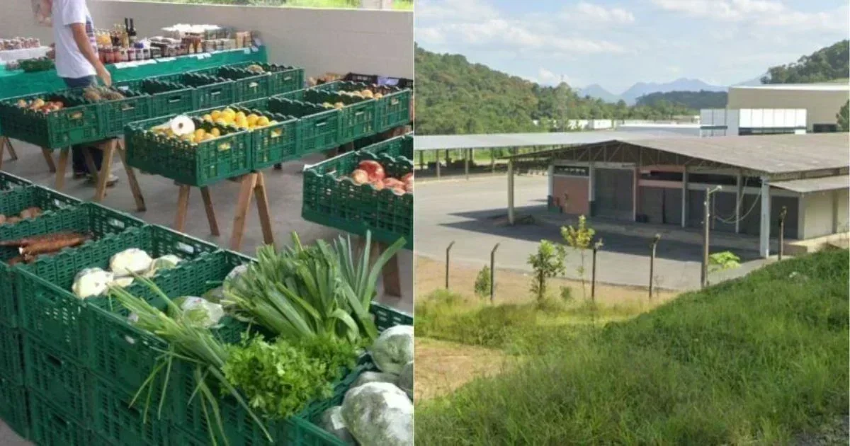 Ceasa de Joinville: Oportunidade Perdida ou Futuro Promissor?