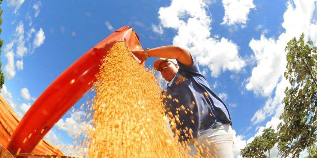 Crescimento Econômico: O Que os Números de Fevereiro Revelam