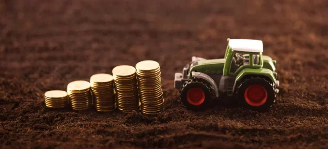 Crescimento Explosivo das Empresas Agroexportadoras: Oportunidade ou Risco?