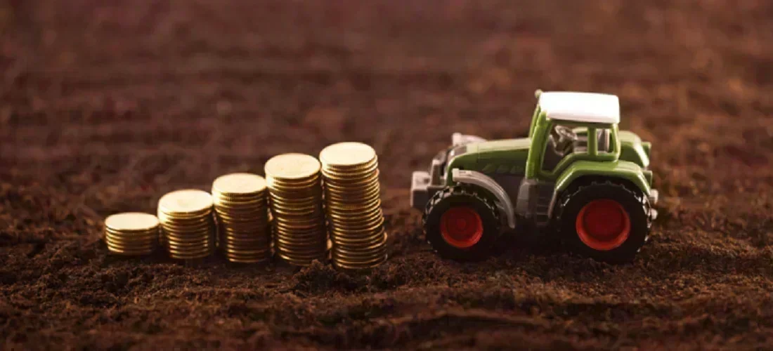 Crescimento Explosivo das Empresas Agroexportadoras: Oportunidade ou Risco?