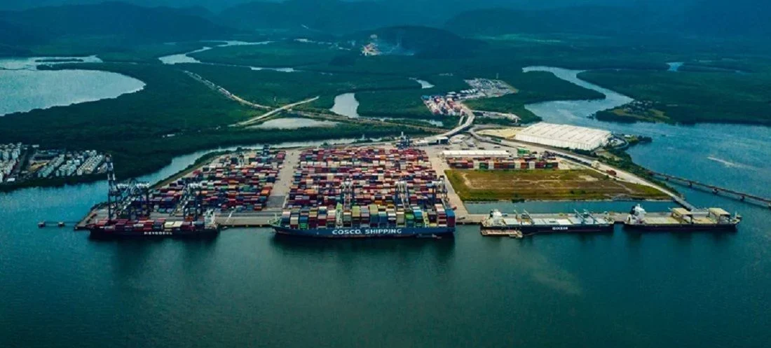 DP World Lança Brazil Africa Link: A Nova Rota do Sucesso