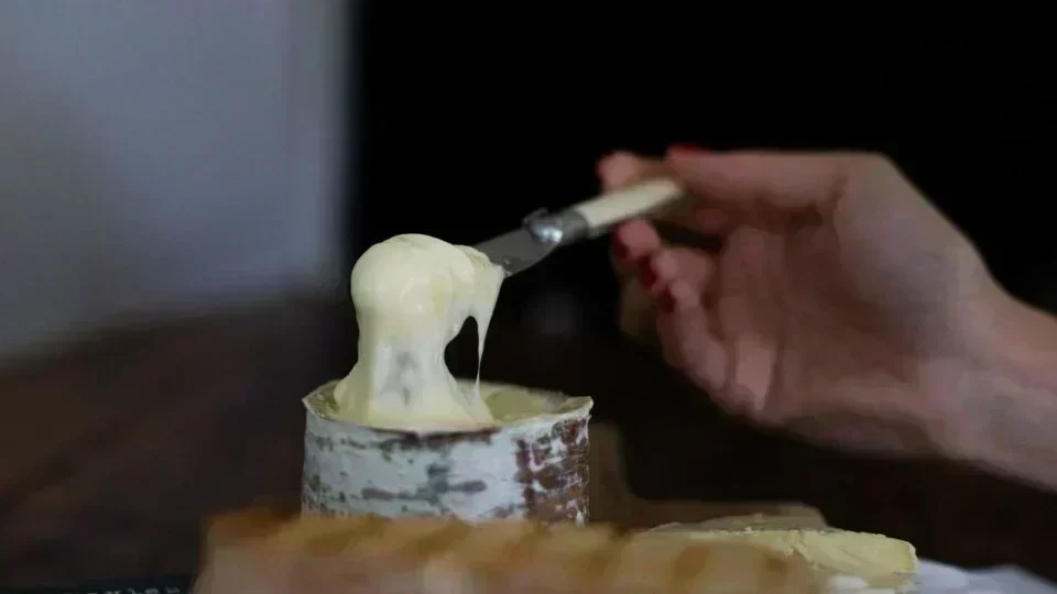 Morro Azul: O Queijo Brasileiro que Conquistou o Mundo