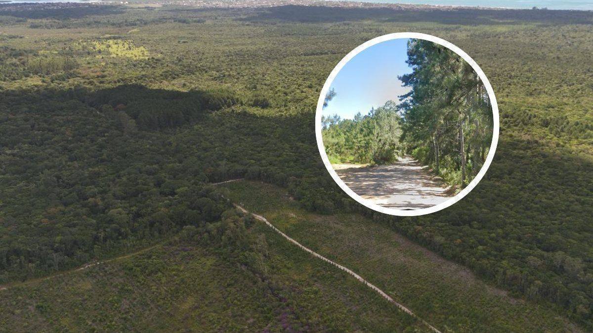 Nova Estrada entre Araquari e Balneário Barra do Sul: Oportunidade de Mobilidade