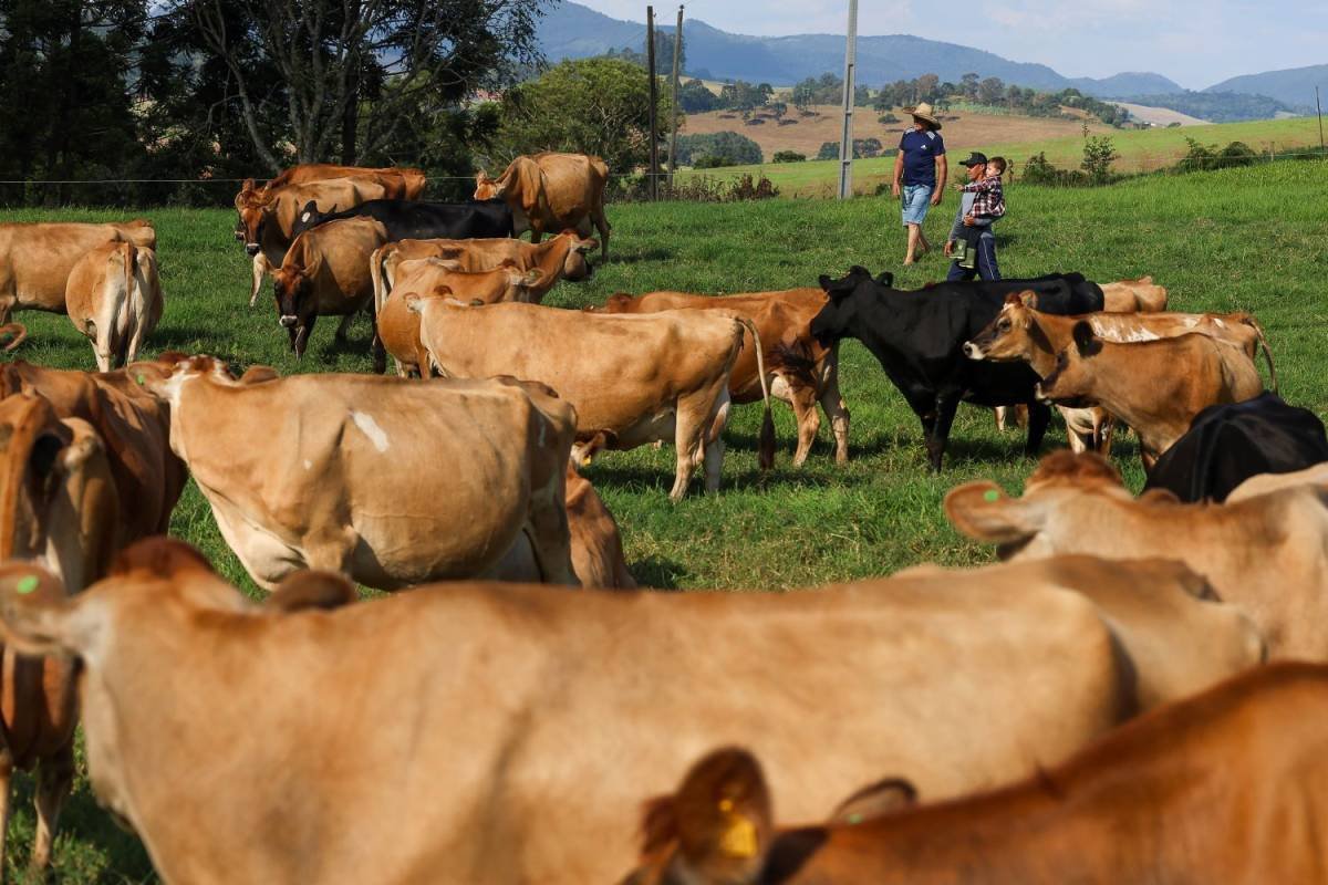 Oportunidade de Crédito: BRDE e o Impulso às Microempresas em SC