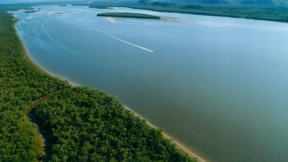 Oportunidades de Investimento no Pantanal Catarinense: O Caso do Rio Palmital