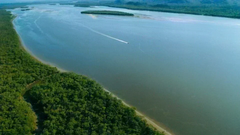 Oportunidades de Investimento no Pantanal Catarinense: O Caso do Rio Palmital