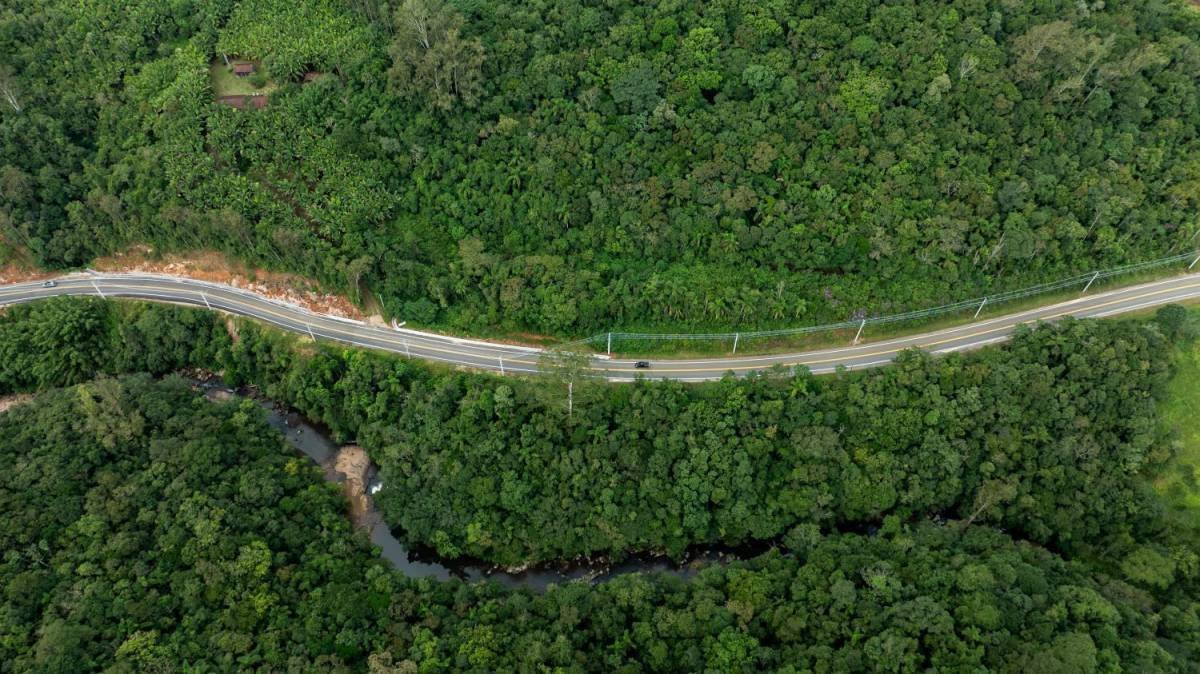 Rodovia da Imigração: Oportunidade de Desenvolvimento em Santa Catarina