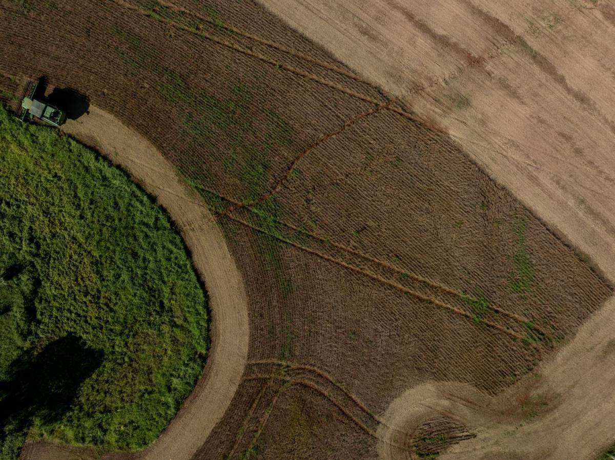 Santa Catarina: O Agronegócio em Alta com R$ 74,9 Bilhões em 2025