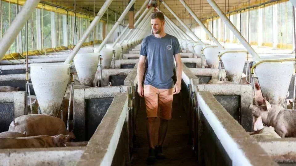 Santa Catarina: O Gigante da Produção Alimentar no Brasil