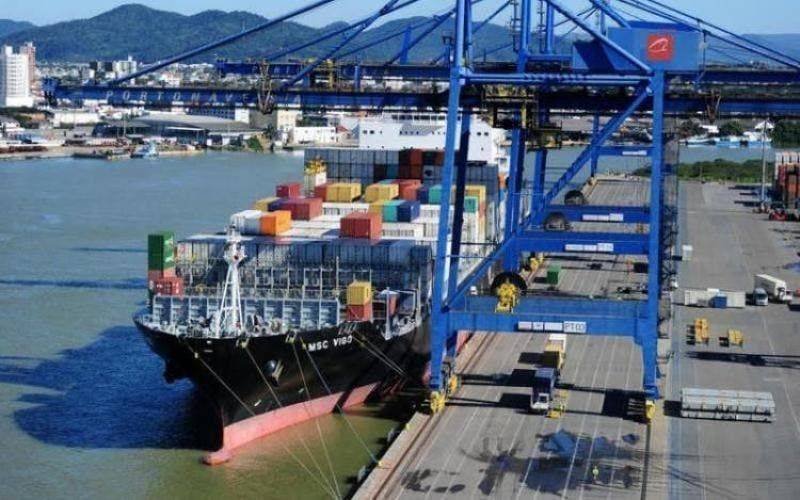 Santa Catarina: O Gigante das Exportações de Carnes em 2026