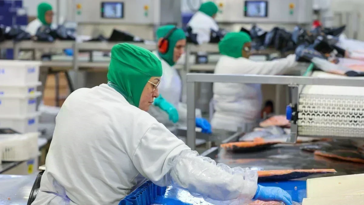 Santa Catarina: O Novo Padrão de Salário Mínimo no Brasil