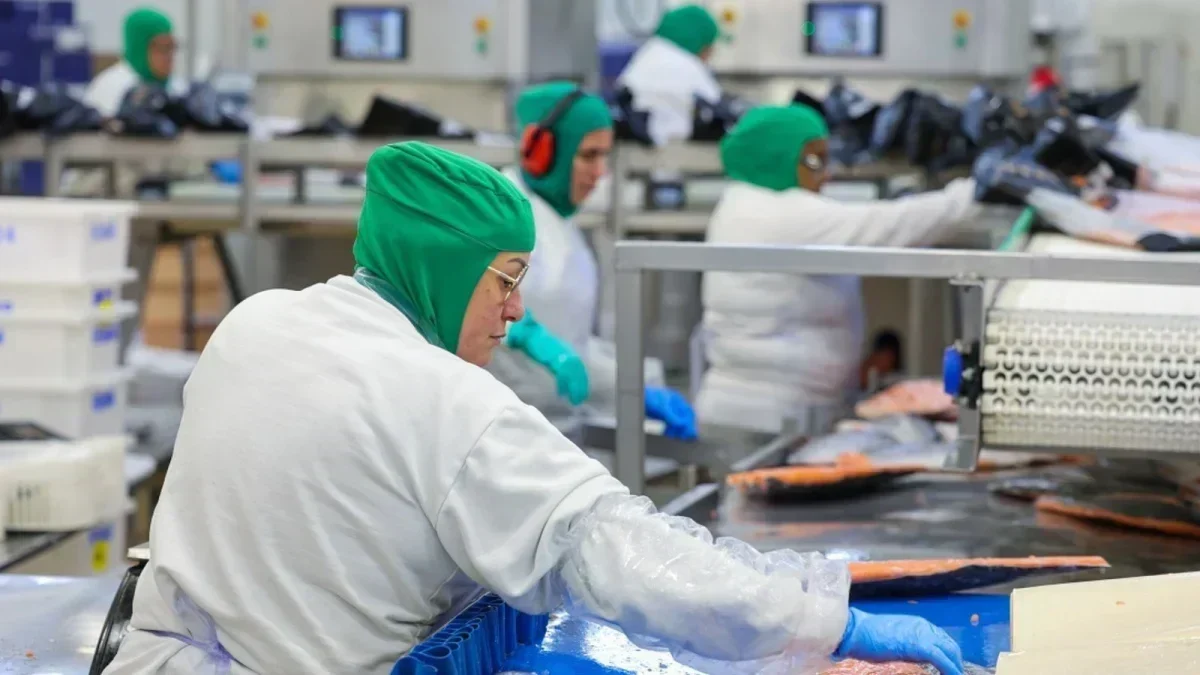 Santa Catarina: O Novo Padrão de Salário Mínimo no Brasil