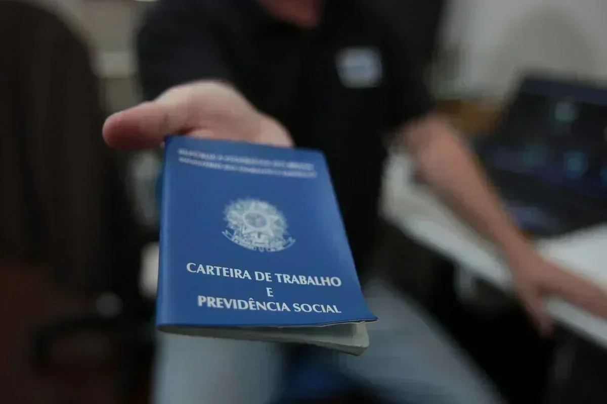 Setores de Comércio e Serviços: O Motor da Geração de Empregos em SC