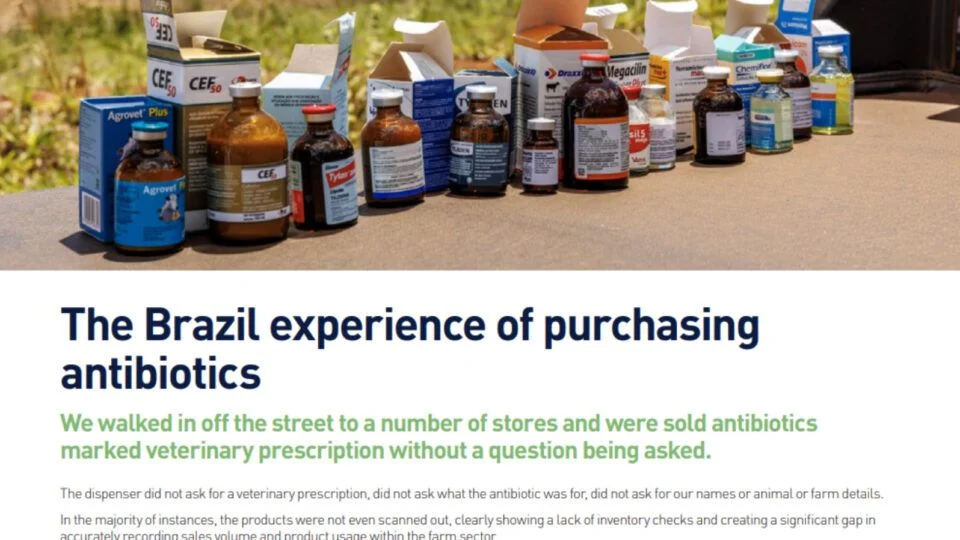 A Missão Irlandesa que Mudou o Jogo da Carne Brasileira na Europa