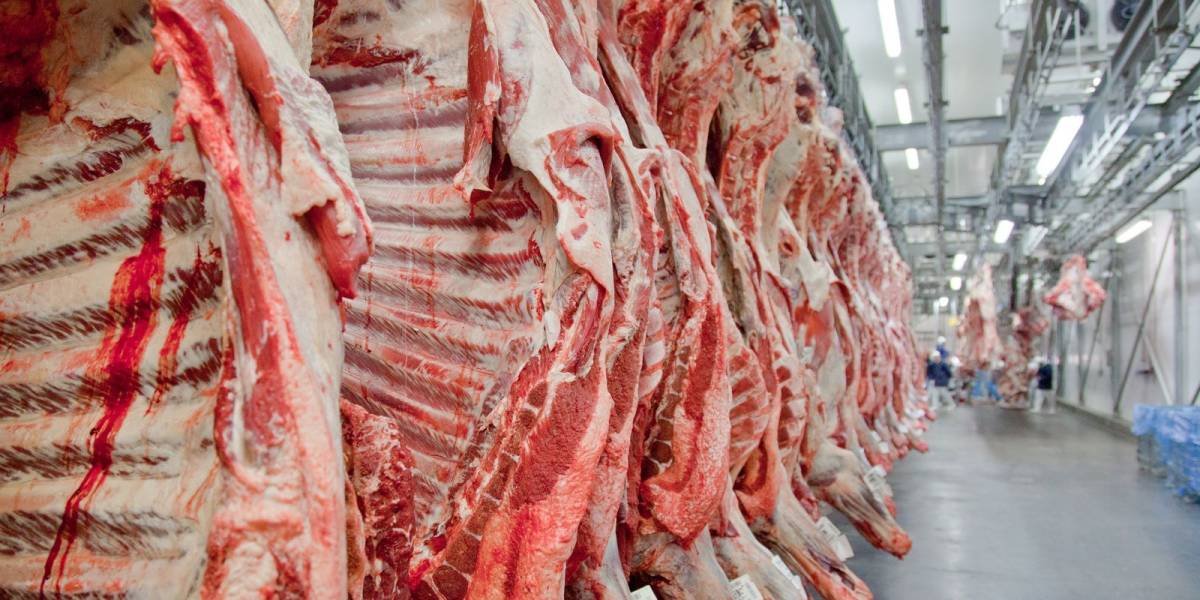 Brasil em Alerta: UE Retira Autorizações de Exportação de Produtos de Origem Animal
