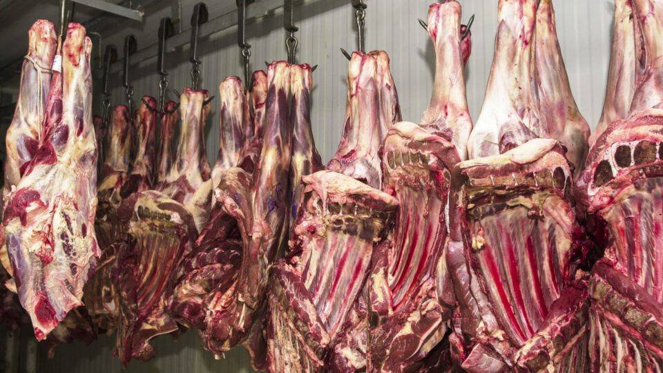Brasil Fora do Mercado Europeu: O Que Isso Significa para a Carne Brasileira?