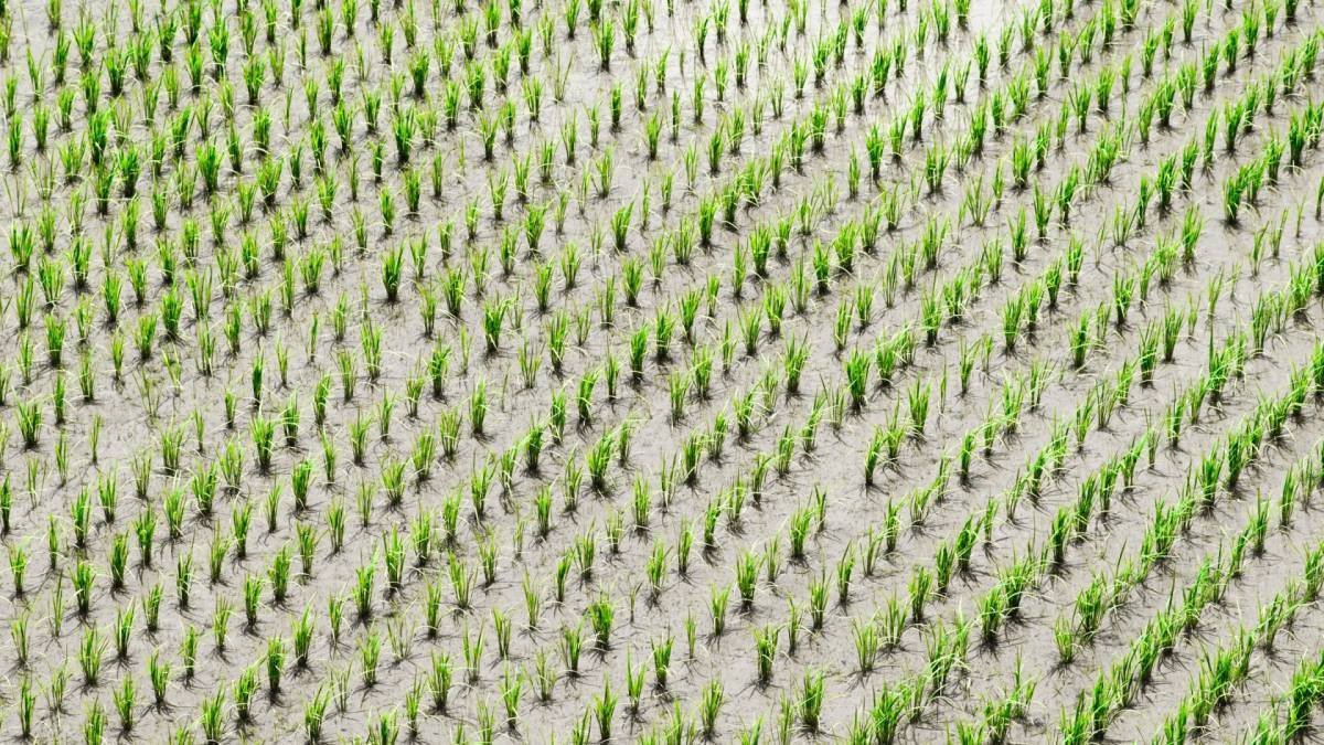 Investimento Público Verde: O Caminho para a Sustentabilidade na Infraestrutura Rodoviária