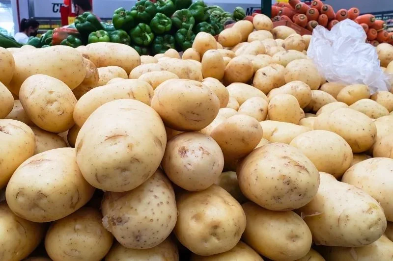 O Impacto do Aumento da Cesta Básica em Itajaí: O Que Você Precisa Saber