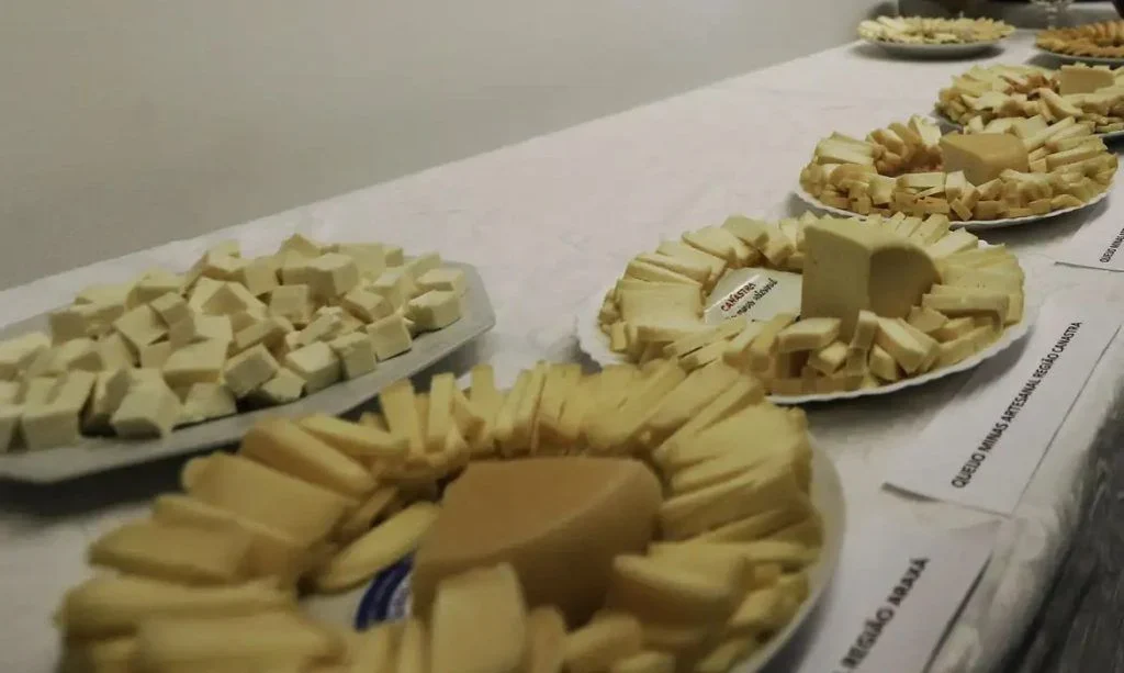 Oportunidade de Ouro: Queijo Mais Barato e Exportações Sem Tarifas