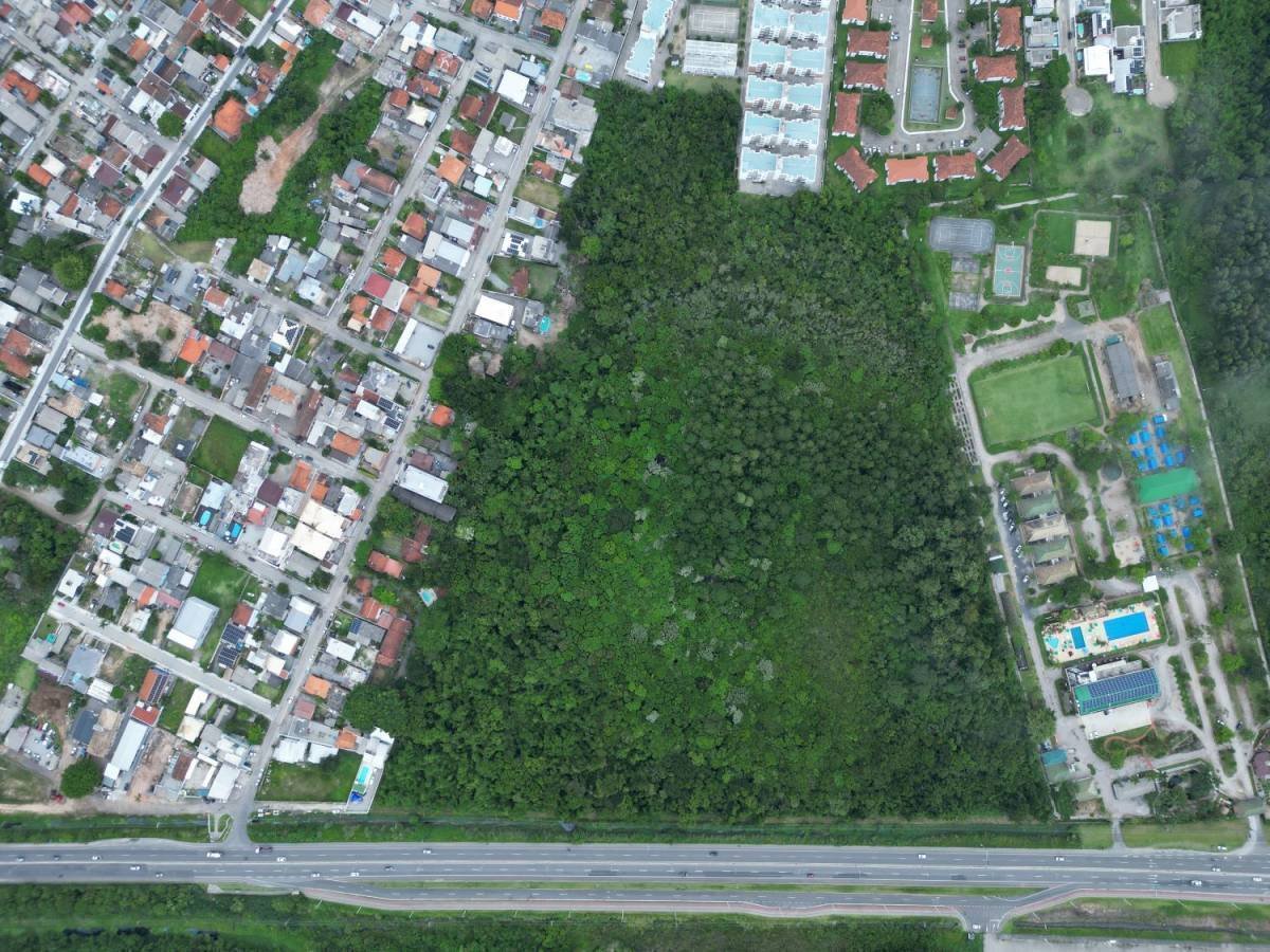 Oportunidade Imperdível: Terreno em Florianópolis com Licitação em Maio de 2026