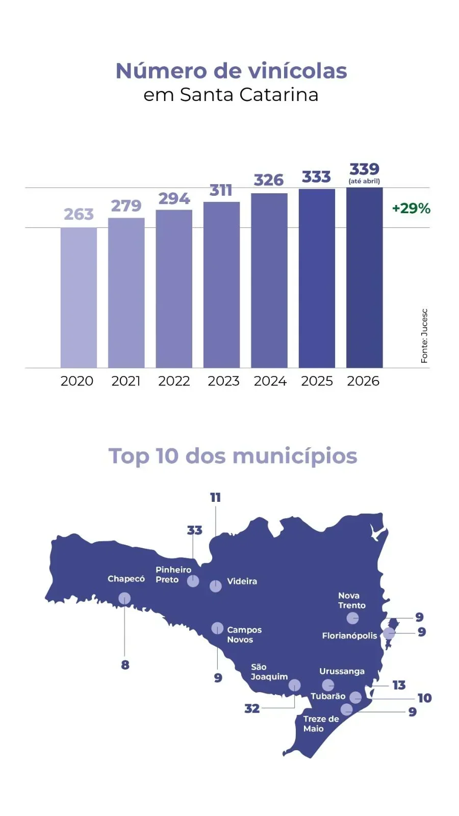 Santa Catarina: Oportunidade de Investimento em Vinícolas em Crescimento Exponencial