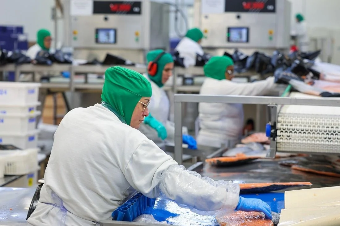 Santa Catarina: Oportunidades de Emprego em Alta em 2026